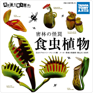 不思議生物大百科 密林の怪罠 食虫植物