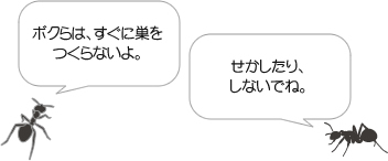 アリはすぐに巣をつくらないよ。