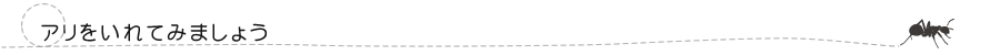 アリをいれてみましょう