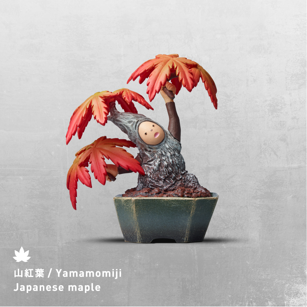 山紅葉／Yamamomiji Japanese maple