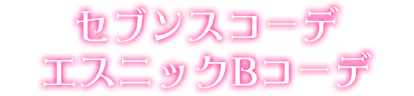 セブンスコーデエスニックBコーデ