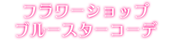 フラワーショップブルースターコーデ