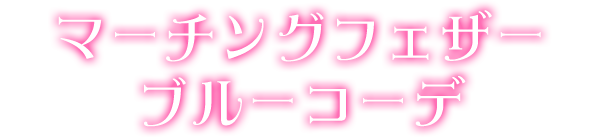 マーチングフェザーブルーコーデ