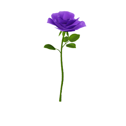 パープルローズ