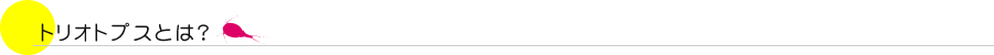 トリオトプスとは？
