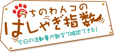 うちのわんコのはしゃぎ指数