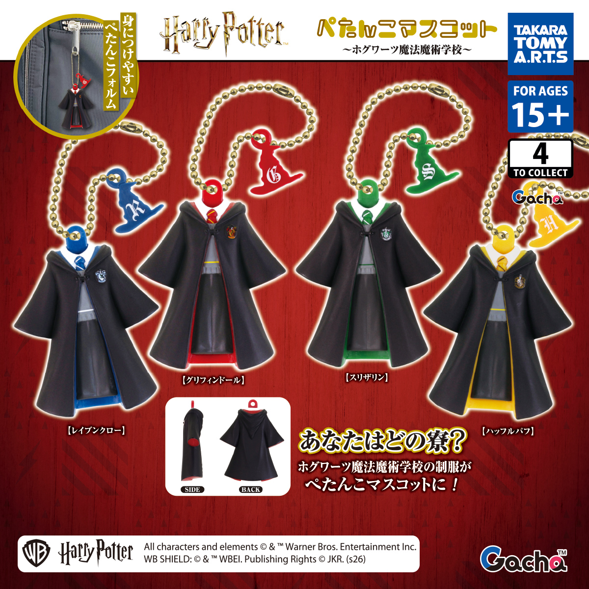 Harry Potter Flat Mascot -Hogwarts School of Witchcraft and Wizardry