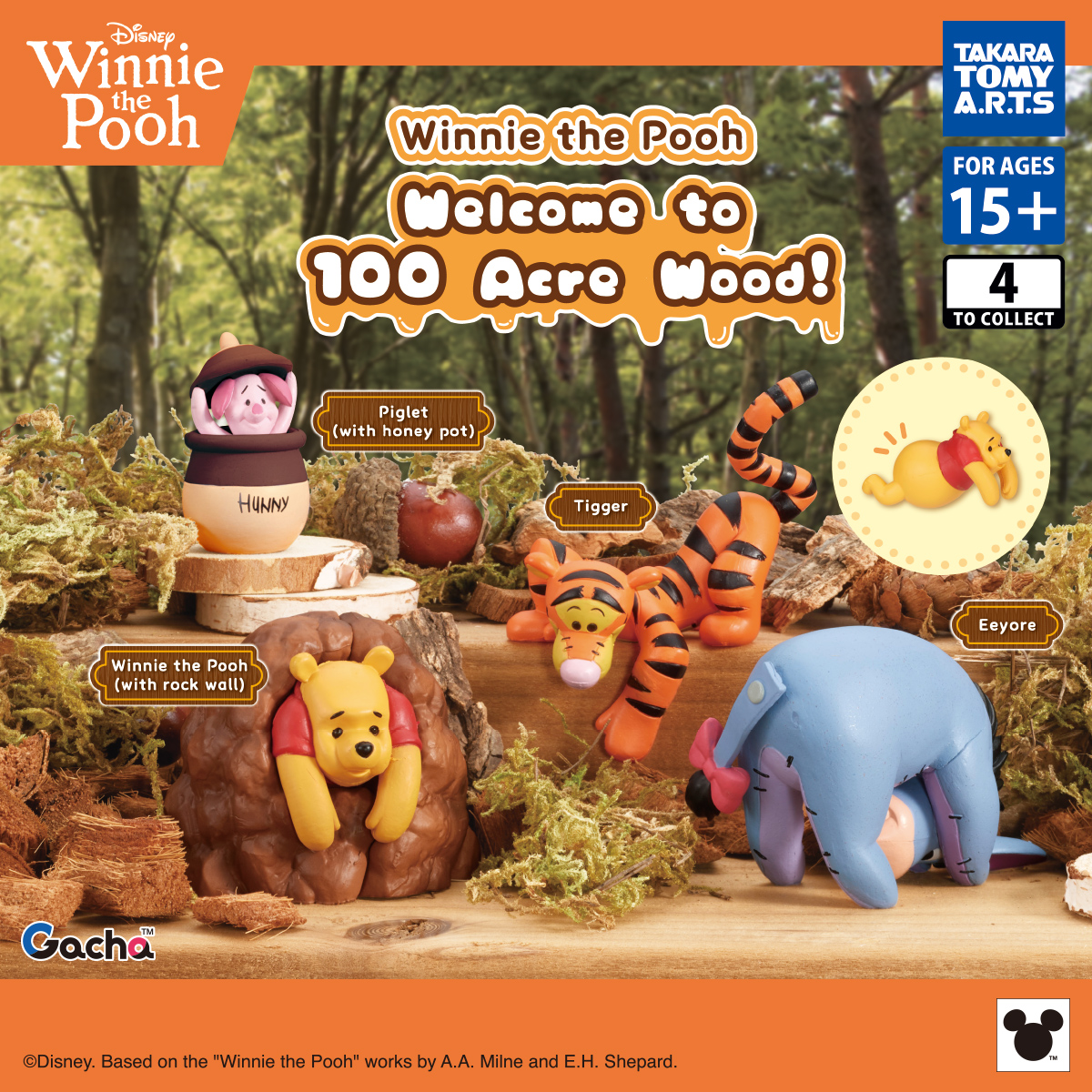 Winnie the Pooh Welcome to 100 Acre Woods!