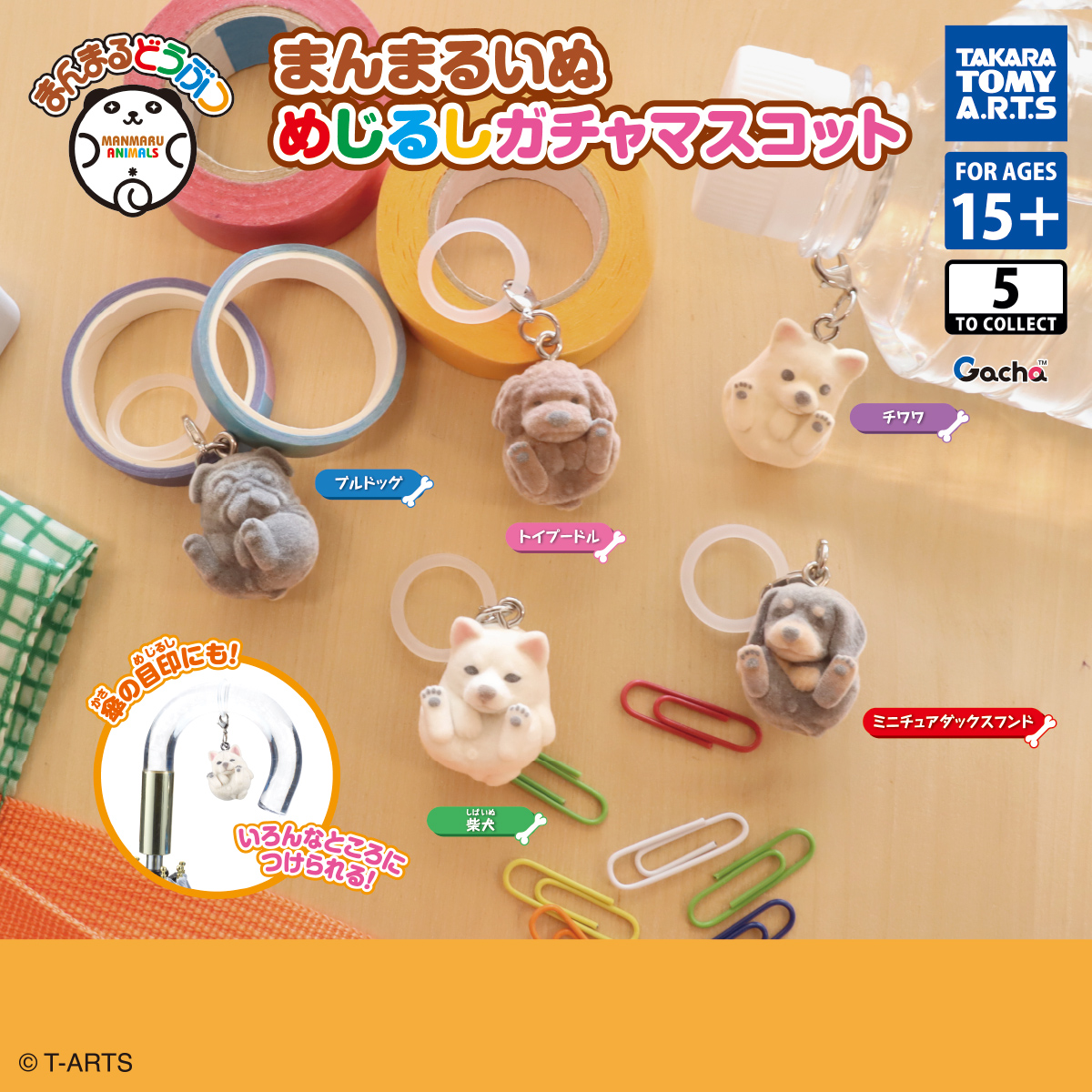 Round Animals Round Dog Marker Gacha Figurine Dangler
