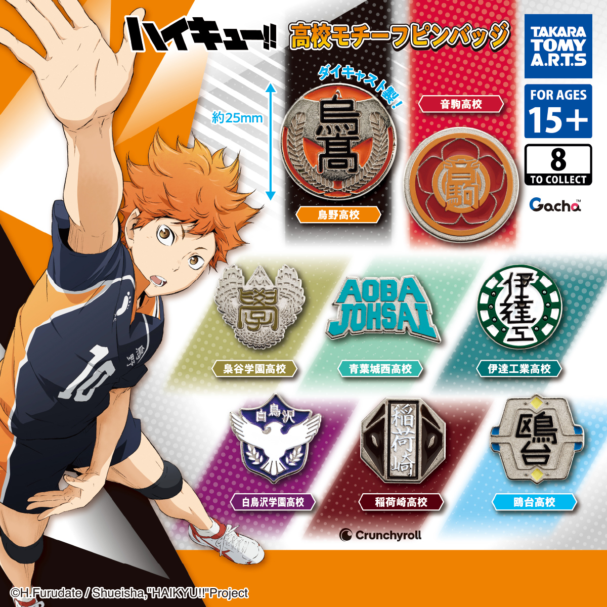 Haikyu!! High School Motif Pin Badge