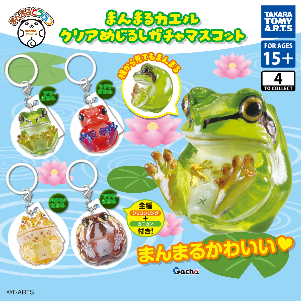 Round Frog Clear Marker Gacha Mascot