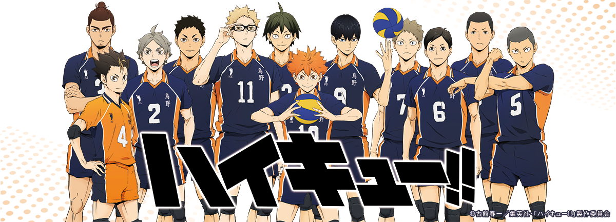 ハイキュー!!