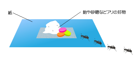 捕まえ方の例