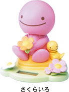 のほほん族 さくらいろ