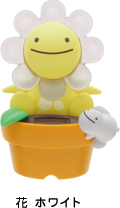 のほほん族 花 ホワイト