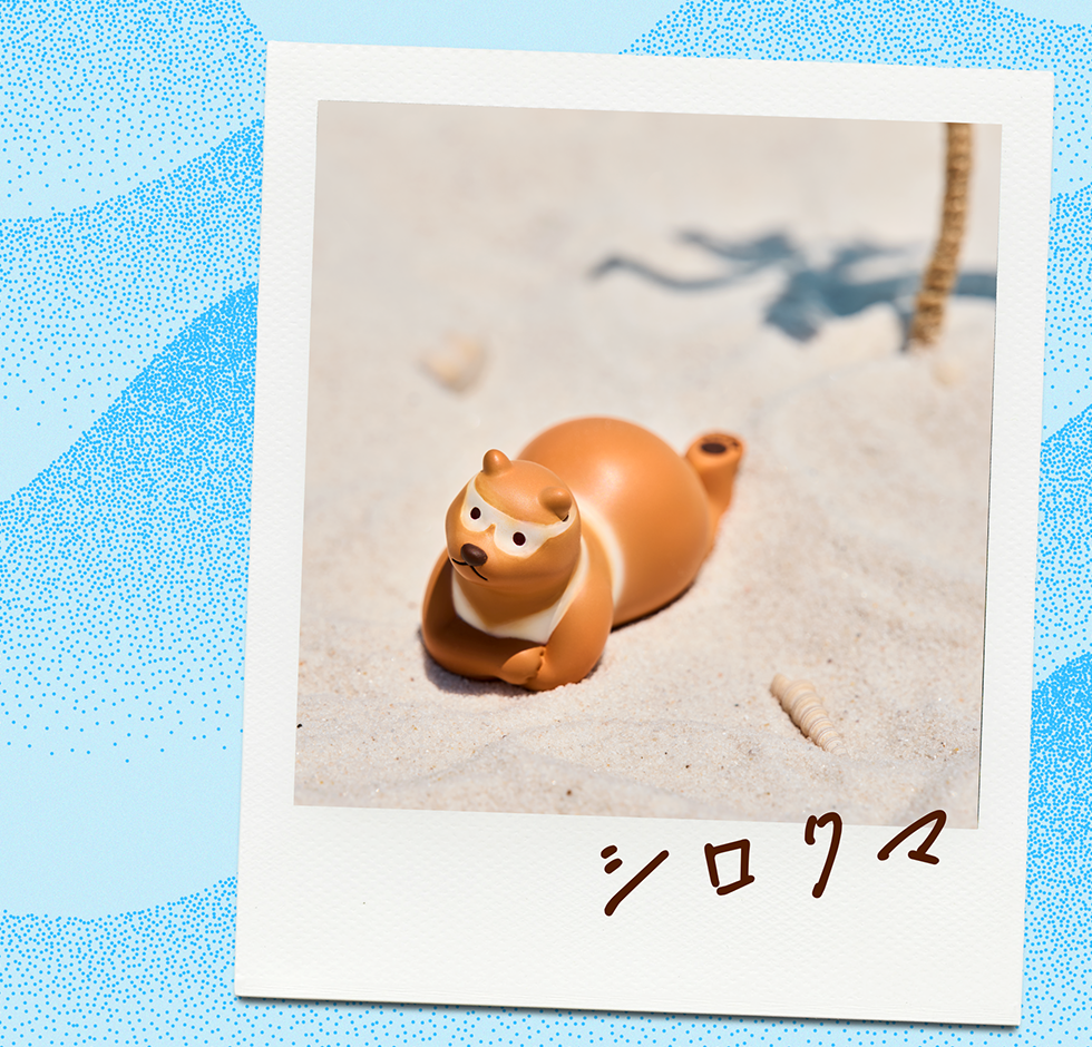 シロクマ