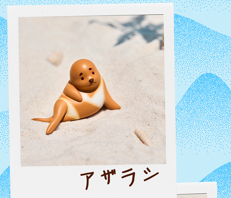 アザラシ