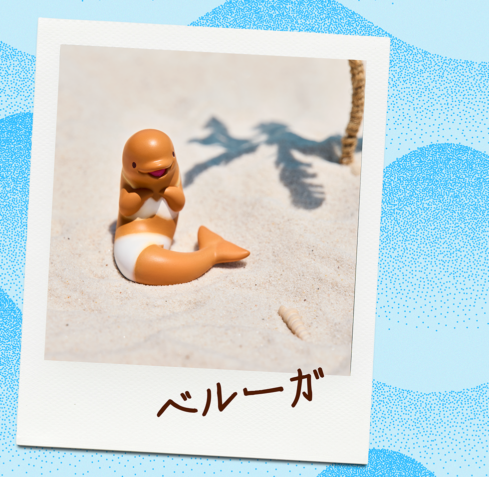 ベルーガ