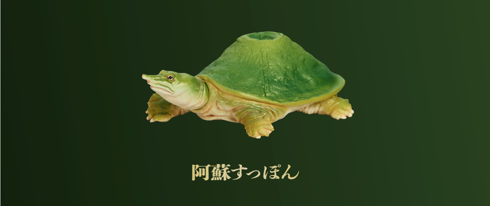 阿蘇すっぽん