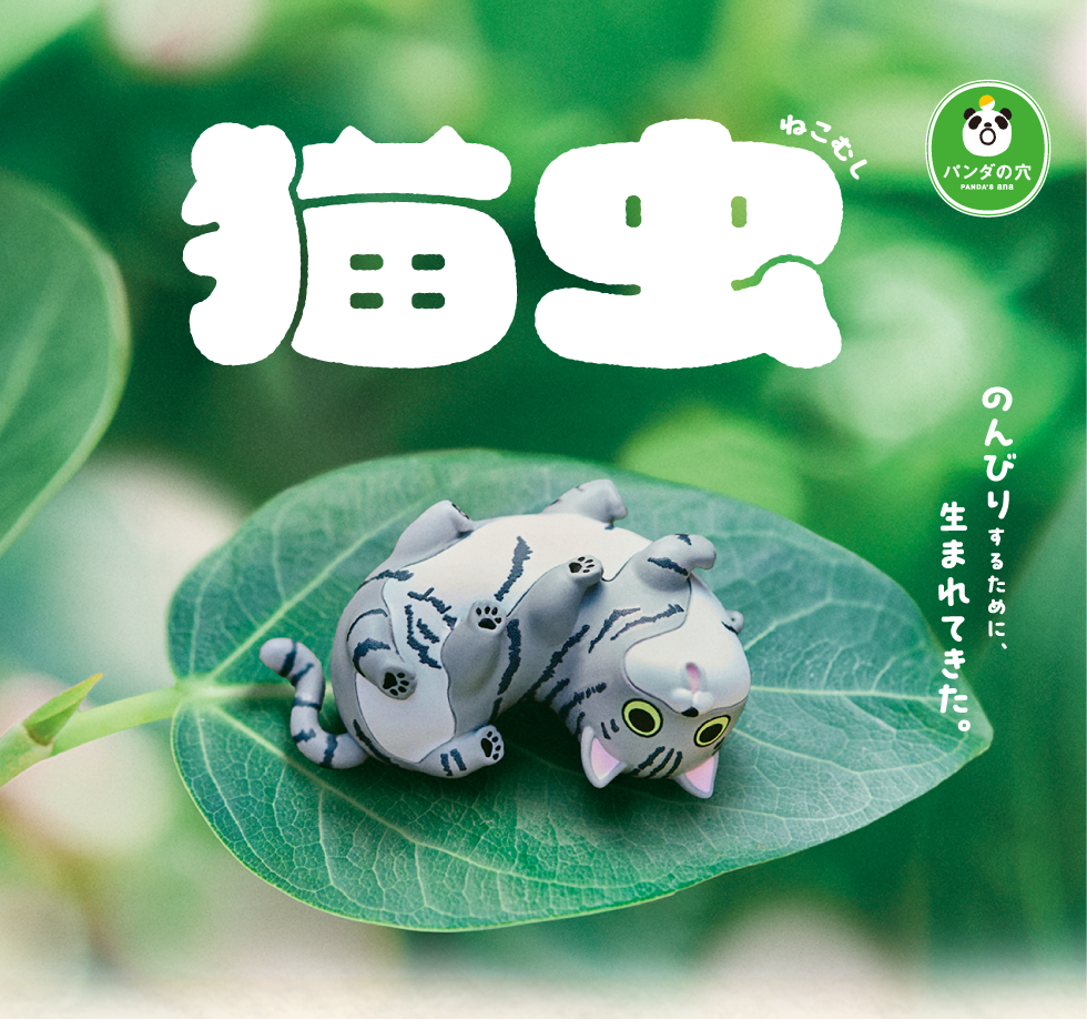 猫虫