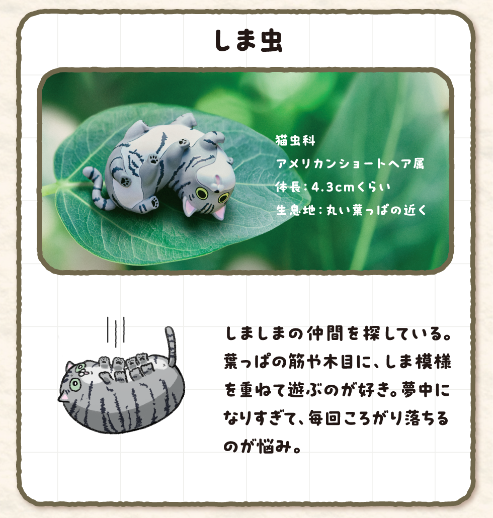 しま虫