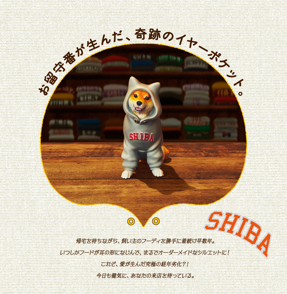 柴犬