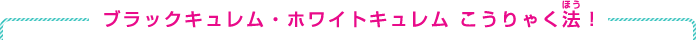 ブラックキュレム・ホワイトキュレム こうりゃく法！