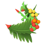 ジメガュカイン