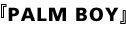 PALM BOY