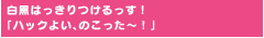 白黒はっきりつけるっす！「ハックよい、のこった〜！」