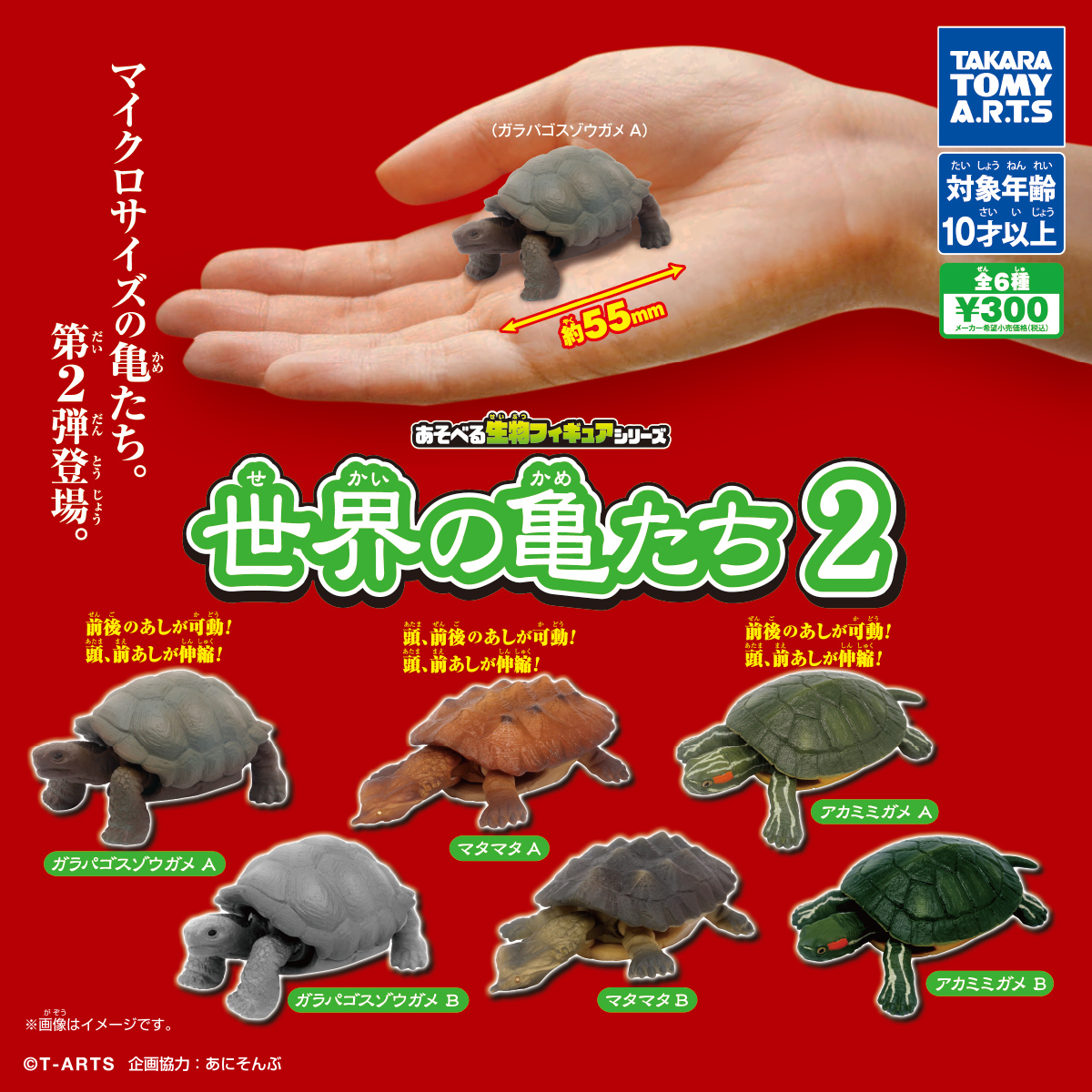 あそべる生物フィギュアシリーズ 世界の亀たち2