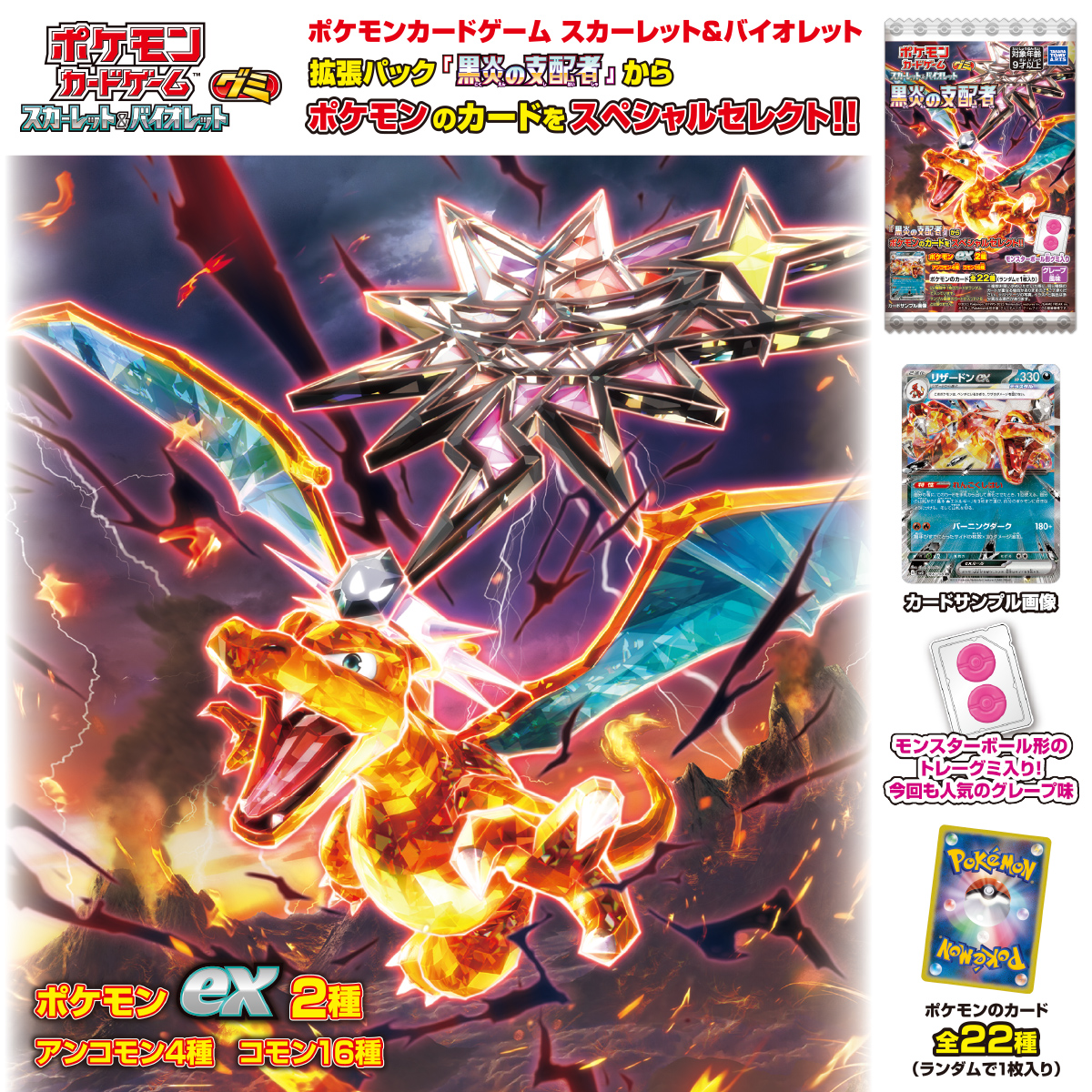 【高重量パック×5】 サーチ済み 黒炎の支配者 ポケモンカード ポケカ 2