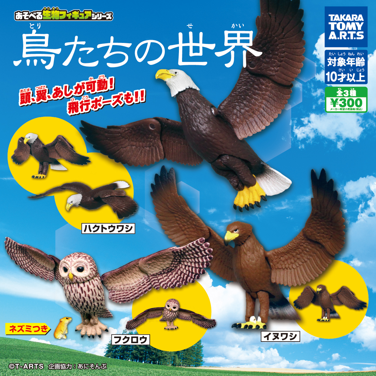 鳥たちの世界｜商品情報｜タカラトミーアーツ