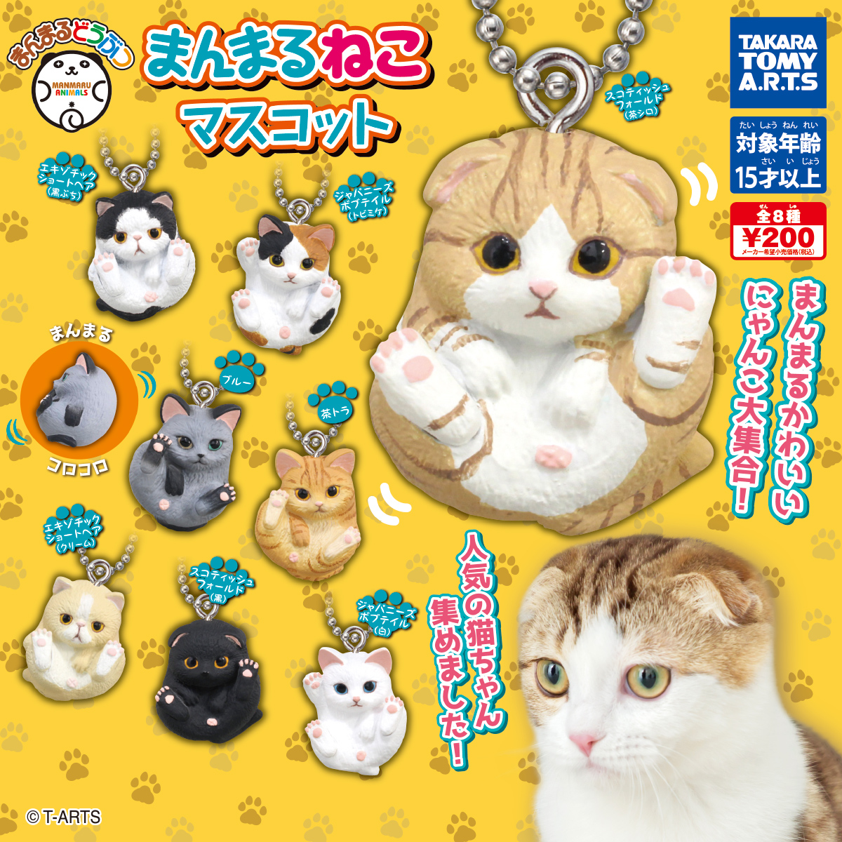 まんまるどうぶつ まんまるねこマスコット 商品情報 タカラトミーアーツ