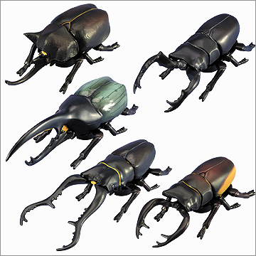 タカラ 世界の甲虫シリーズ BEETLE OF THE WORLD タカラ 世界の