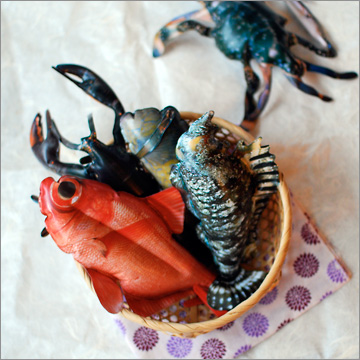 原色?!空気模型図鑑Ⅱ｜商品情報｜タカラトミーアーツ